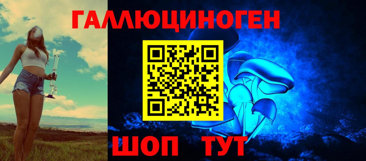 Пугачёв  Псилоцибиновые грибы Cubensis  Вход с VPN 